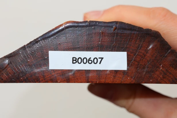 Drewno wężowe Snakewood drewno na biżuterię wood for jewelry