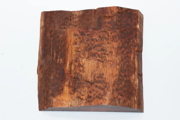 Drewno wężowe Snakewood drewno na biżuterię wood for jewelry