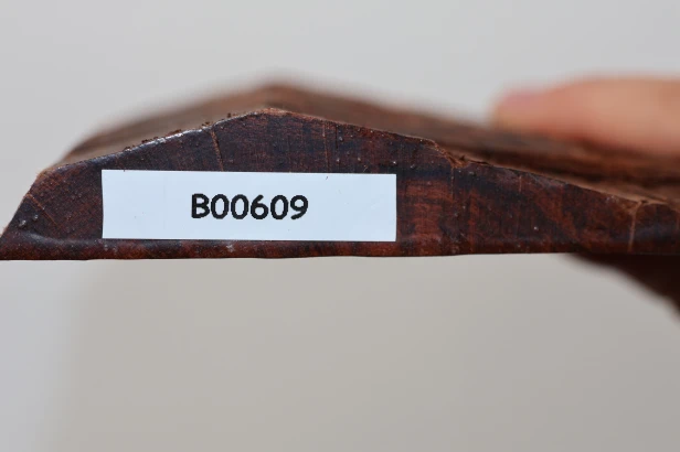 Drewno wężowe Snakewood drewno na biżuterię wood for jewelry