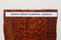 Drewno wężowe Snakewood drewno na biżuterię wood for jewelry