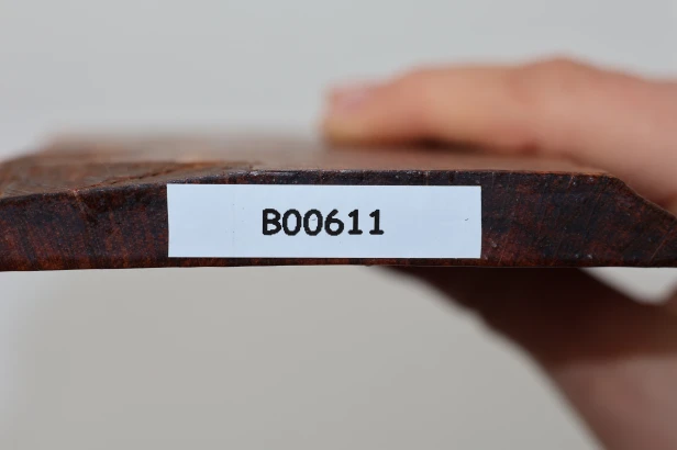 Drewno wężowe Snakewood drewno na biżuterię wood for jewelry