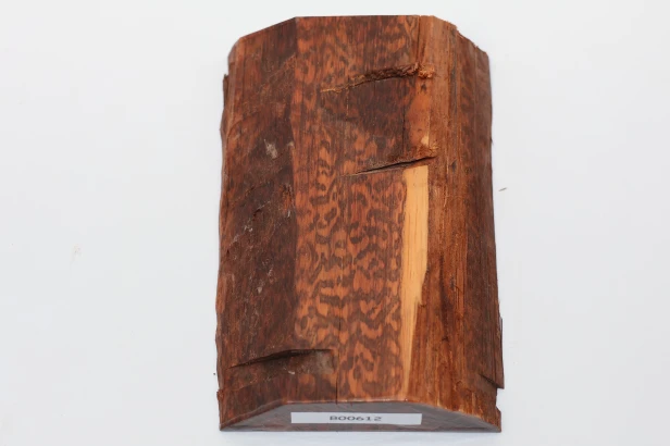 Drewno wężowe Snakewood drewno na biżuterię wood for jewelry
