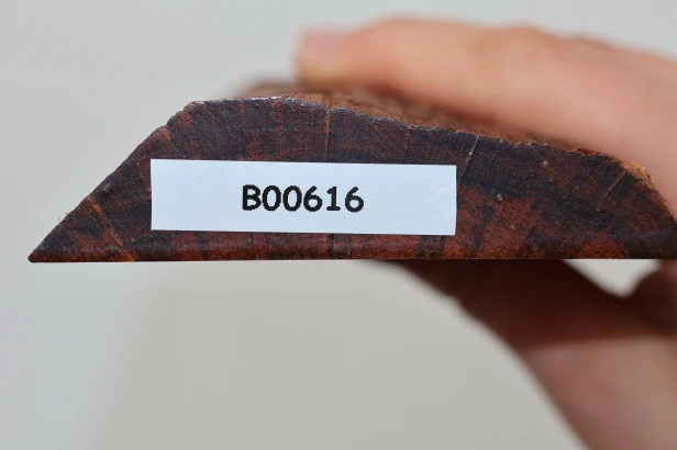 Drewno wężowe Snakewood drewno na biżuterię wood for jewelry