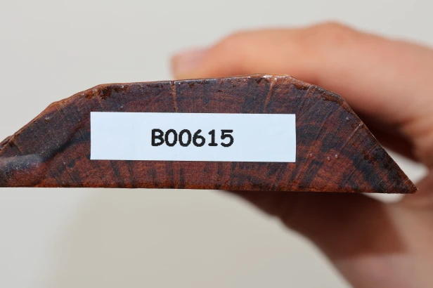 Drewno wężowe Snakewood drewno na biżuterię wood for jewelry