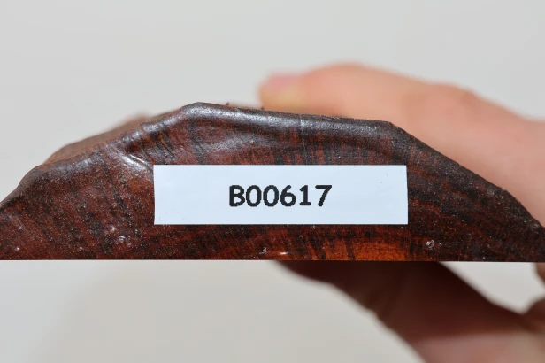 Drewno wężowe Snakewood drewno na biżuterię wood for jewelry