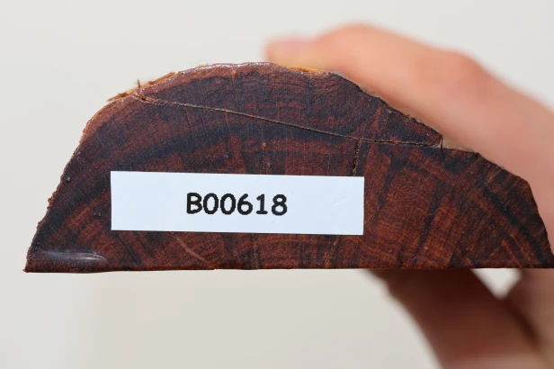 Drewno wężowe Snakewood drewno na biżuterię wood for jewelry
