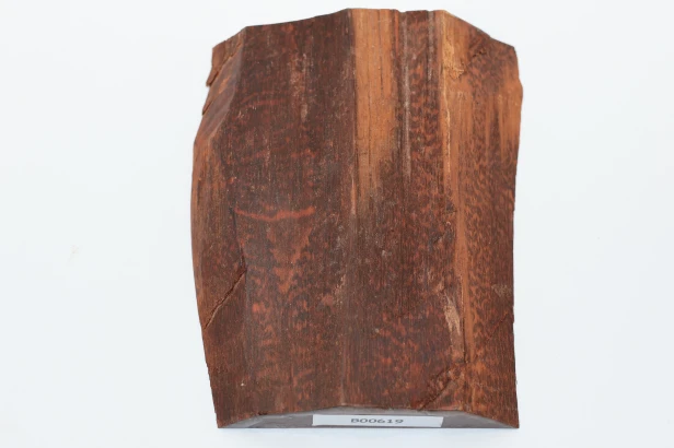 Drewno wężowe Snakewood drewno na biżuterię wood for jewelry