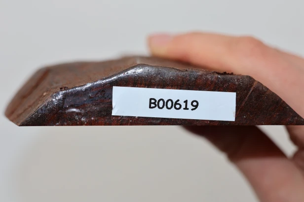 Drewno wężowe Snakewood drewno na biżuterię wood for jewelry