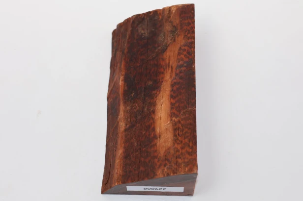 Drewno wężowe Snakewood drewno na biżuterię wood for jewelry
