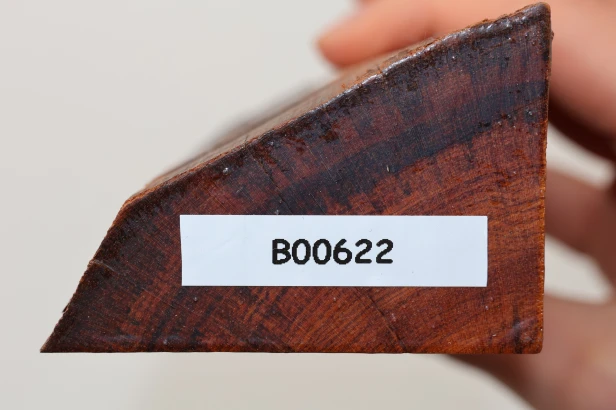 Drewno wężowe Snakewood drewno na biżuterię wood for jewelry