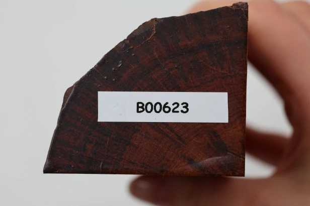 Drewno wężowe Snakewood drewno na biżuterię wood for jewelry