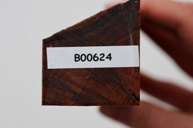 Drewno wężowe Snakewood drewno na biżuterię wood for jewelry