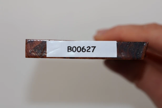 Drewno wężowe Snakewood drewno na biżuterię wood for jewelry