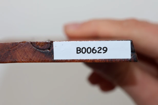 Drewno wężowe Snakewood drewno na biżuterię wood for jewelry
