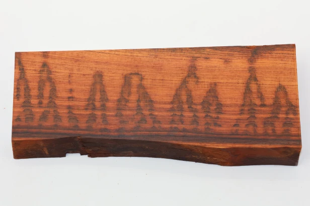 Drewno wężowe Snakewood drewno na biżuterię wood for jewelry