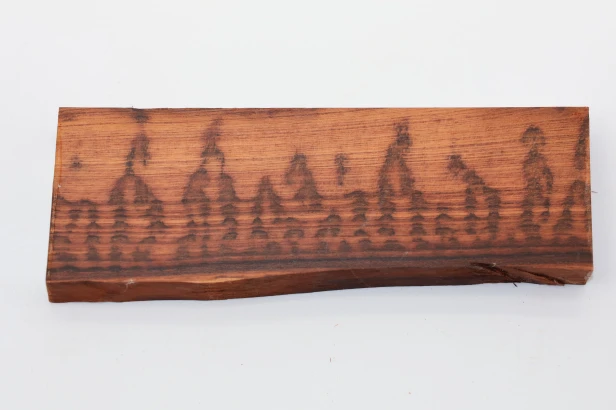 Drewno wężowe Snakewood drewno na biżuterię wood for jewelry