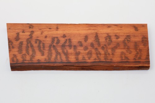 Drewno wężowe Snakewood drewno na biżuterię wood for jewelry