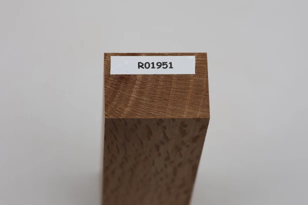 Dąb ostrolistny korkowy Holm Mediterranean Oak Cork drewno na rękojeść noża wood for knife