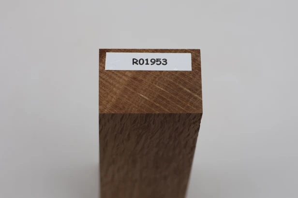 Dąb ostrolistny korkowy Holm Mediterranean Oak Cork drewno na rękojeść noża wood for knife
