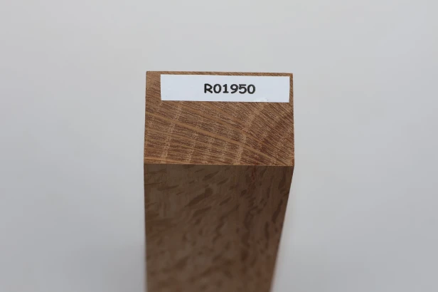 Dąb ostrolistny korkowy Holm Mediterranean Oak Cork drewno na rękojeść noża wood for knife