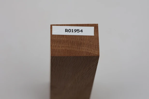 Dąb ostrolistny korkowy Holm Mediterranean Oak Cork drewno na rękojeść noża wood for knife
