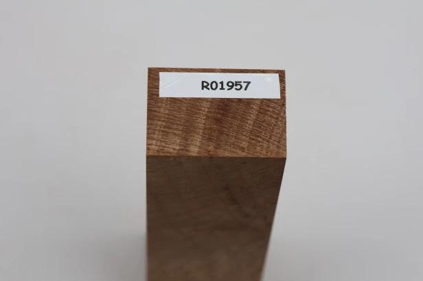 Dąb ostrolistny korkowy Holm Mediterranean Oak Cork drewno na rękojeść noża wood for knife