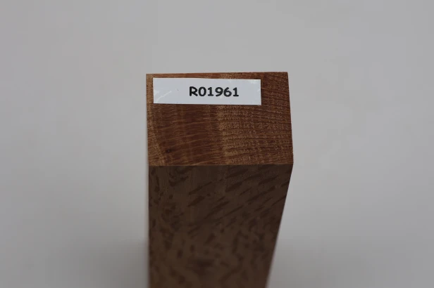 Dąb ostrolistny korkowy Holm Mediterranean Oak Cork drewno na rękojeść noża wood for knife