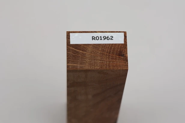 Dąb ostrolistny korkowy Holm Mediterranean Oak Cork drewno na rękojeść noża wood for knife