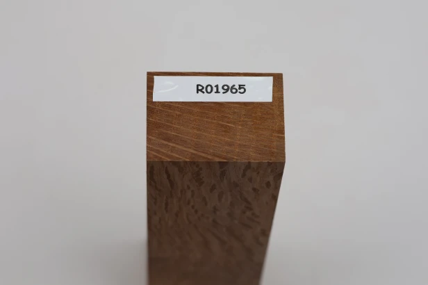 Dąb ostrolistny korkowy Holm Mediterranean Oak Cork drewno na rękojeść noża wood for knife