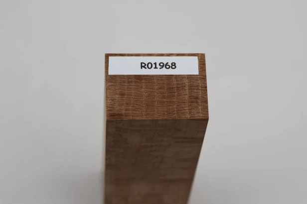 Dąb ostrolistny korkowy Holm Mediterranean Oak Cork drewno na rękojeść noża wood for knife