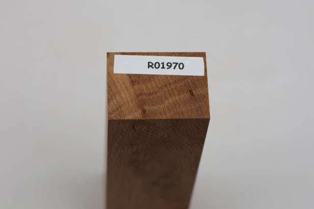 Dąb ostrolistny korkowy Holm Mediterranean Oak Cork drewno na rękojeść noża wood for knife