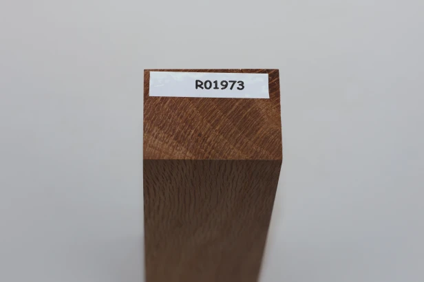 Dąb ostrolistny korkowy Holm Mediterranean Oak Cork drewno na rękojeść noża wood for knife