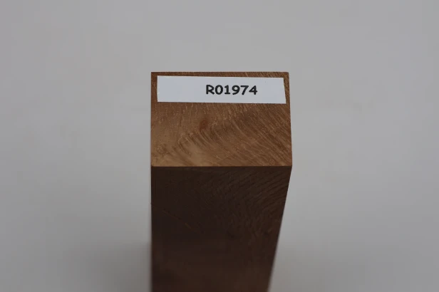 Dąb ostrolistny korkowy Holm Mediterranean Oak Cork drewno na rękojeść noża wood for knife