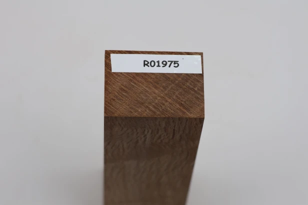 Dąb ostrolistny korkowy Holm Mediterranean Oak Cork drewno na rękojeść noża wood for knife