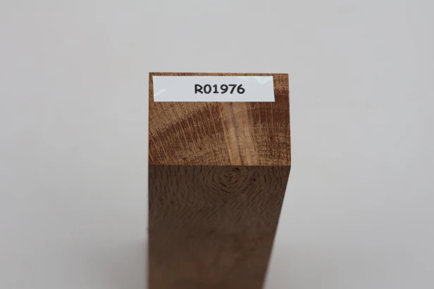Dąb ostrolistny korkowy Holm Mediterranean Oak Cork drewno na rękojeść noża wood for knife
