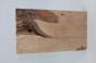 Brzoza fala Birch Flame drewno do toczenia kantówka wood for turning Timber
