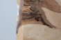 Brzoza fala Birch Flame drewno do toczenia kantówka wood for turning Timber