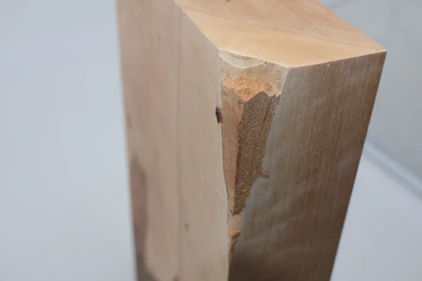 Brzoza fala Birch Flame drewno do toczenia kantówka wood for turning Timber