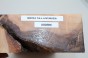 Brzoza fala Birch Flame drewno do toczenia kantówka wood for turning Timber