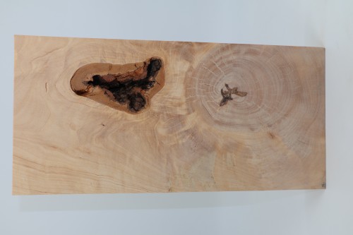 Brzoza fala Birch Flame drewno do toczenia kantówka wood for turning Timber