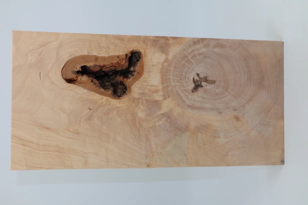 Brzoza fala Birch Flame drewno do toczenia kantówka wood for turning Timber