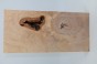 Brzoza fala Birch Flame drewno do toczenia kantówka wood for turning Timber