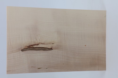 Klon jawor fala Sycamore Maple Flame drewno do toczenia kantówka wood for turning Timber