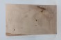 Klon jawor fala Sycamore Maple Flame drewno do toczenia kantówka wood for turning Timber