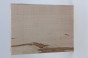 Klon jawor fala Sycamore Maple Flame drewno do toczenia kantówka wood for turning Timber