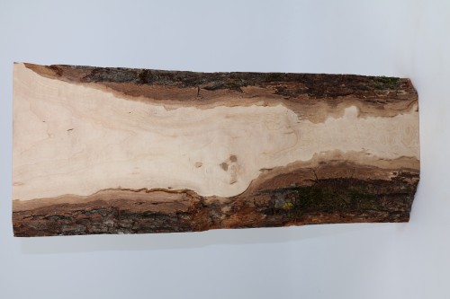 Klon Maple spalted drewno do toczenia kantówka wood for turning Timber