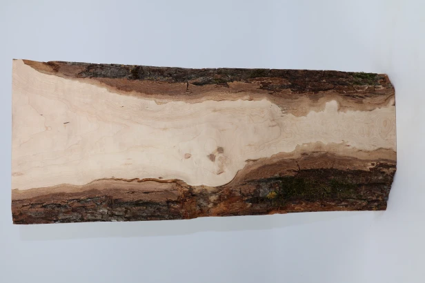Klon Maple spalted drewno do toczenia kantówka wood for turning Timber