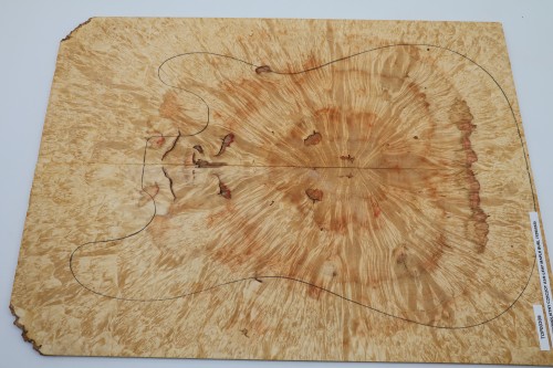 Klon jesionolistny czeczot Ash-leaf Maple Burl drewniany top na gitarę guitar top
