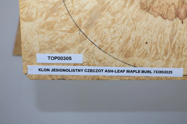 Klon jesionolistny czeczot Ash-leaf Maple Burl drewniany top na gitarę guitar top