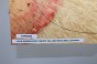 Klon jesionolistny czeczot Ash-leaf Maple Burl drewniany top na gitarę guitar top